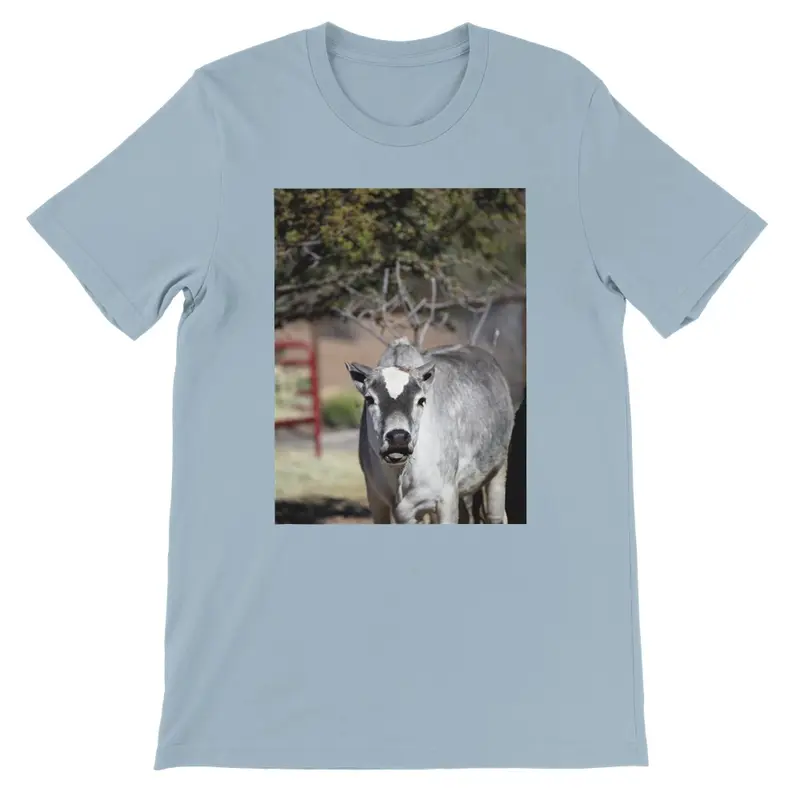 Premium Unisex Crewneck T-shirt | Bella + Canvas 3001