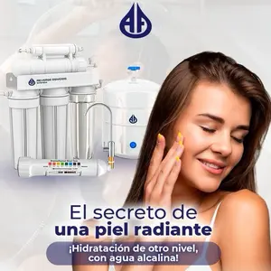 RO Water Purifier - High-Flow Water Filtration System for Effective Water Filtration filter undersink