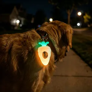 Dog Poop Bag Dispenser with Leak Proof Pet Waste Bags, Glow in The Dark Dog Poop Bag Holder for Leash with 1 Roll Waste Bags for Dog Walking and Cats Litter, 3D Printed Cute Carrot