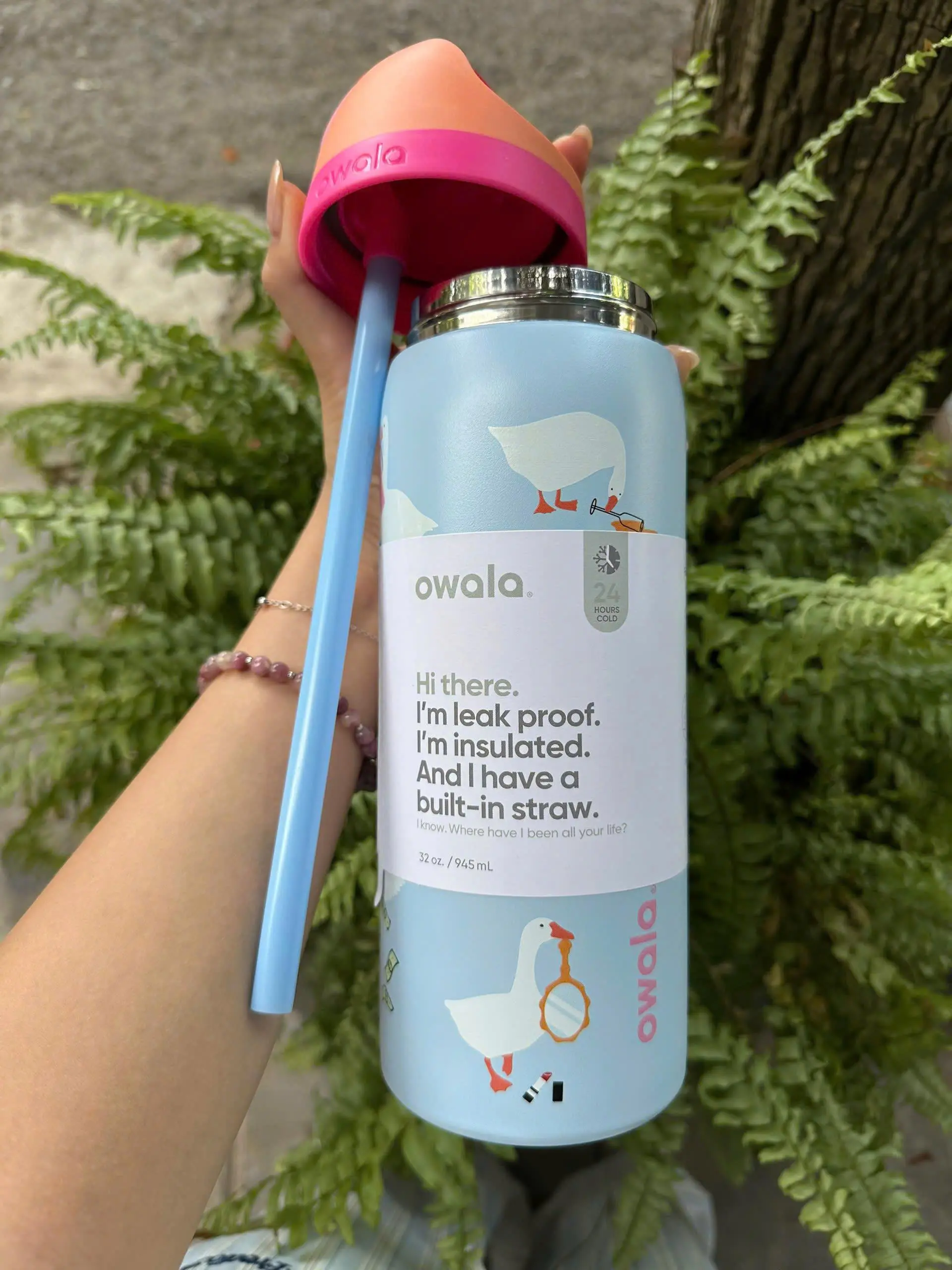 Owala Silly Goose Water Bottle Freesip 32oz Limited Edition Full Box NEW - Perfect Gift