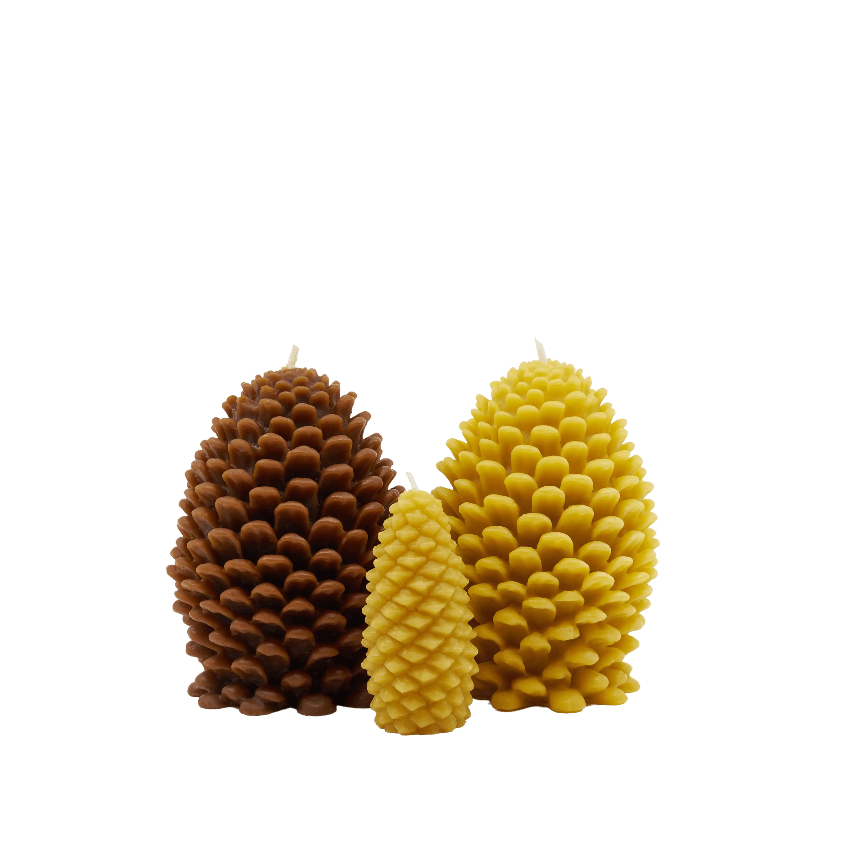 Pine Cones