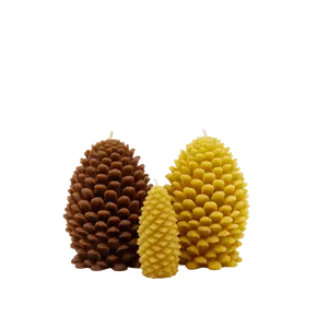 Pine Cones