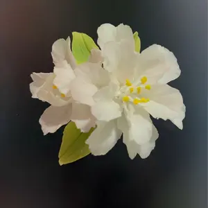 Ceramic Crabapple Refrigerator Magnet