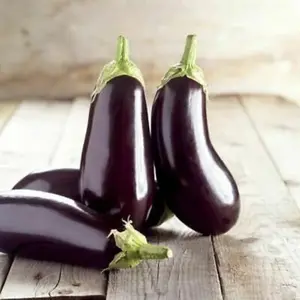 Diamond Eggplant Organic Seeds – Glossy, dark-purple Ukrainian heirloom with tender, mild flesh; perfect for grilling, roasting, and stir-fries.