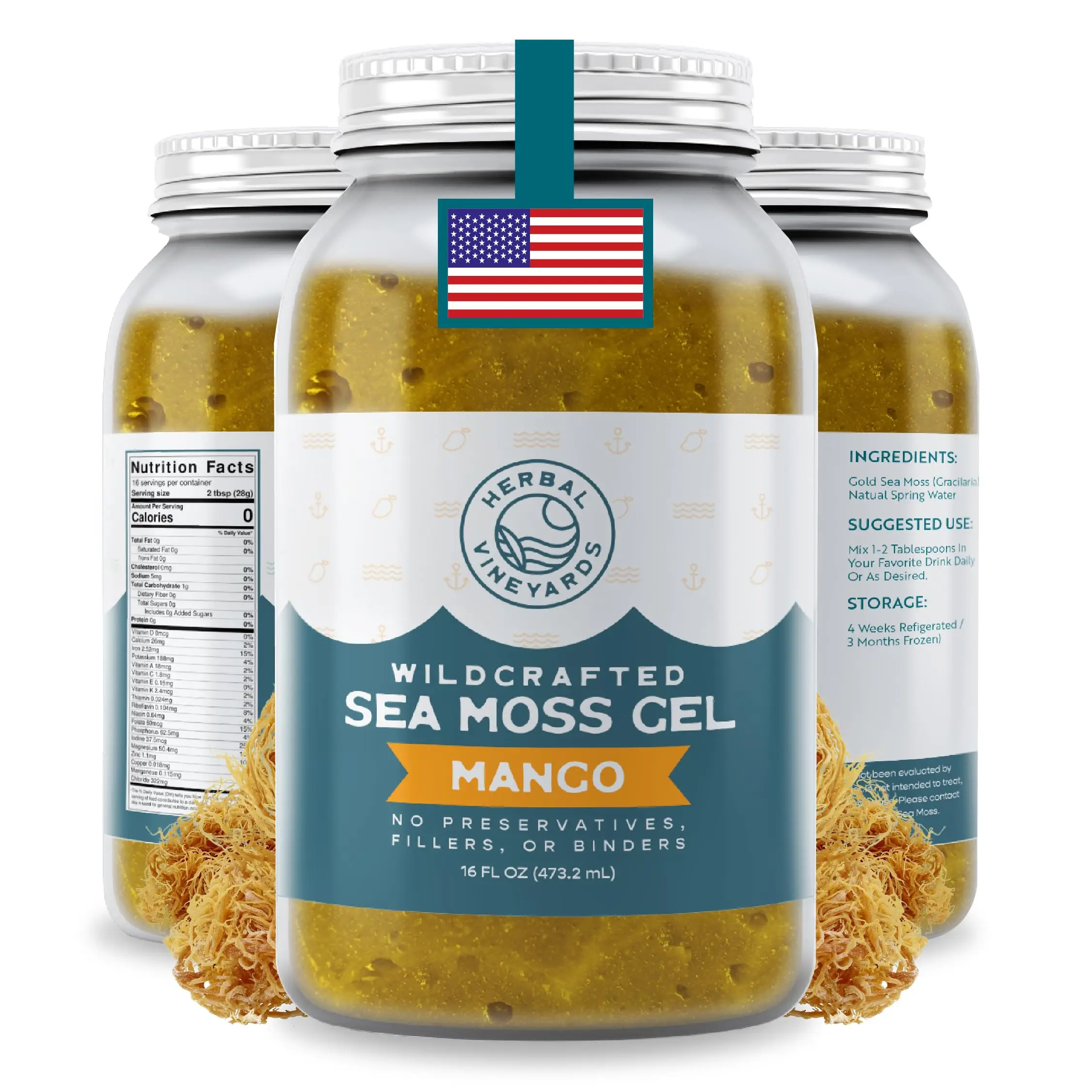 Herbal Vineyards Wildcrafted Mango Sea Moss Gel 16 Oz Jar - Made with Dried Seaweed & Fresh Sea Vegetables, Seamoss - Made in USA