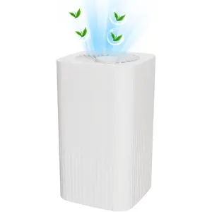 Small Air Purifier and Diffuser 2 in 1 for Office Bedroom Home, Desktop Air Purifier with HEPA Filter for Odor, Dust, Pets, Super Quiet  by USB No Adapter (2 in 1 White)