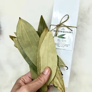 Intention Bay Leaves Large - Reiki Infused Bay Leaves - 4-6 Inches Long - For Manifestation Rituals, Spells, and Wishes - Spell Herbs