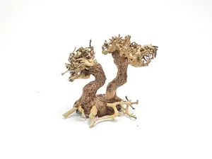 Double-Head Nano Aquarium Driftwood Bonsai Tree Handcrafted for Terrarium Aquarium