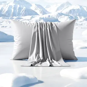 SLEEPHORIA Cooling Pillow Cases for Hot Sleepers, 2 Pack Standard Size Cool Pillow Case Cover with Durable Zipper, Silky Soft & Stays Cool All Night, Gentle on Hair & Skin