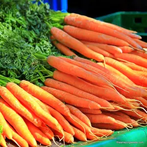 Tendersweet Carrot Seeds (Organic) (Daucus carota) – Smooth, deep orange carrots with a sweet, crisp flavor. Great for fresh eating and juicing.