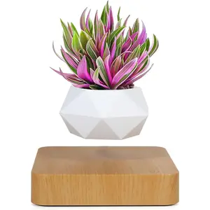 Levitating Air Bonsai Pot, Cool Stuff,Rotation Flower Pot Planters, Potted Plant Home Desk Decor in Flower Pots & Planters from Home & Garden on (Light Color)
