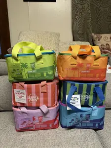 Trader Joe’s 2026 Summer Eco-Friendly Mini Insulated Lunch Tote Bags, New With Tags (NWT)