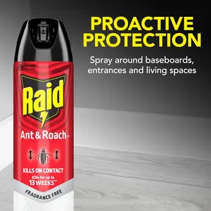Raid Ant Roach Killer - Fragrance-Free