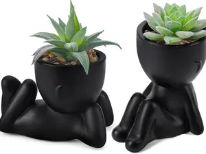 Set of 2 Fake Plants Artificial Succulent Plants for Office Desk Accessories Black Bathroom Home Room Aesthetic Decor Indoor Ceramic Decorative