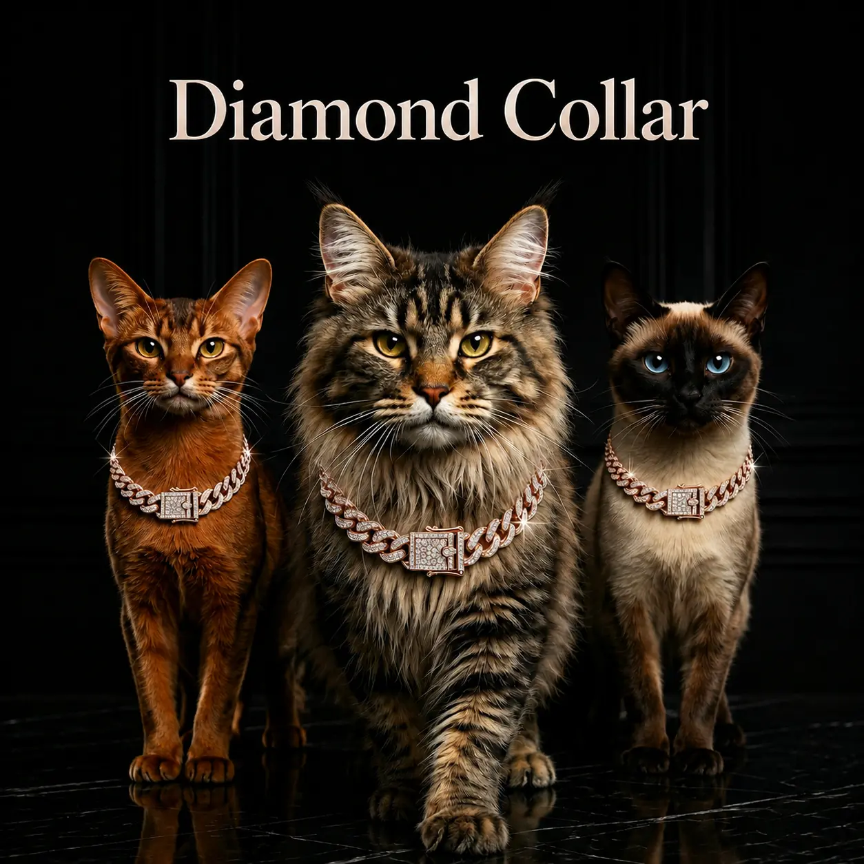 Luxury rhinestone-detailed Cuban link pet collar — elegant design for indoor and outdoor use, suitable for cats and dogs, a year-round neck accessory