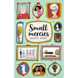 USED-Small Mercies by Krone, Bridget (Hardcover)