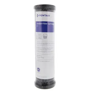 Pentek - C1 - 10" x 2.5" Activated Carbon-Impregnated 5 Micron Filter