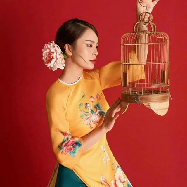 Áo Dài Cách Tân - Vietnamese Dress