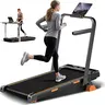 Umay Foldable Home Treadmill with Foldable Safety Handrail, 16% Incline Walking Pad for Home Office Fitness
