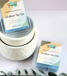Wax Melts Soy Wax Melts Scented CARIBBEAN DAY SPA Wax Melts Candle Wax Melts 6 Cavity Clamshell Wax Melts