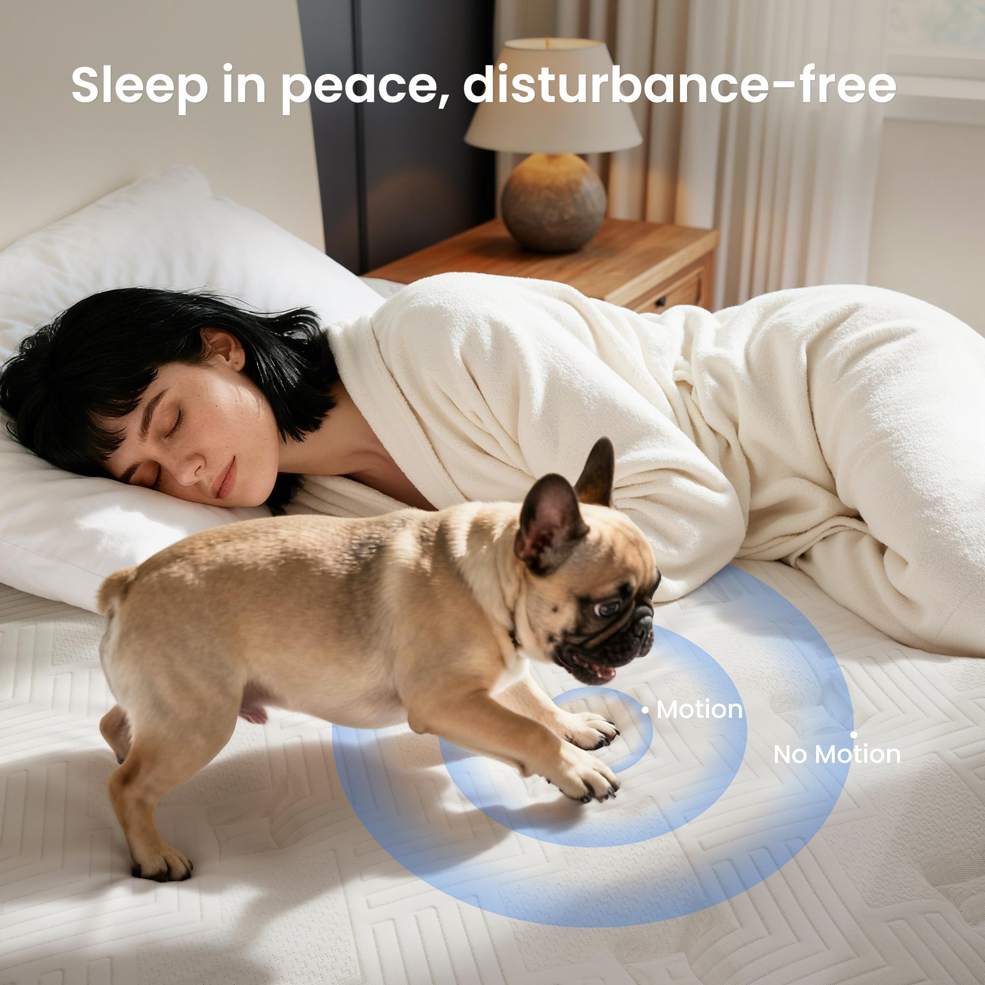 Twin/Full/Queen/King Mattress, Gel Memory Foam & Zoned Support Springs, Pressure Relief, Breathable Fabric, Motion Isolation Mattress Memory   twin mattresses