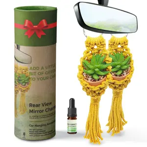 2 Pcs Set Hanging Succulent Pots with Essential Oil And Artificial Succulents For Home and Auto Decor