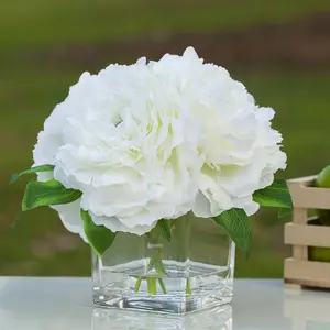 Enova Floral  Silk Peony Arrangement in Cube Glass Vase With Faux Water for Home Office Decoration