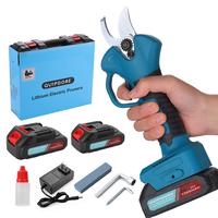 Blue-Handheld + 2 Batteries