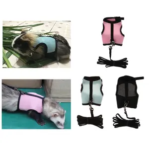 Vest Harness & Leash Set for Small Pets - Hamsters, Rabbits, & More