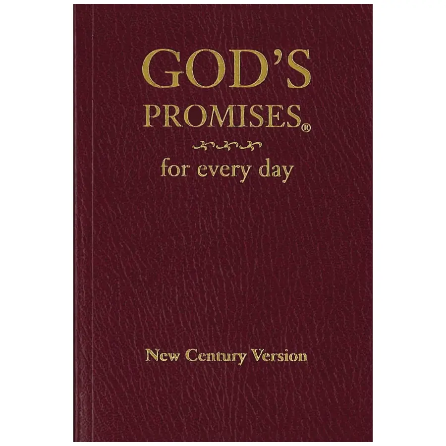 God's Promises for Every Day: Bible Verses for All Life Seasons, Religion & Philosophy Book, Humanities & Social Sciences Category