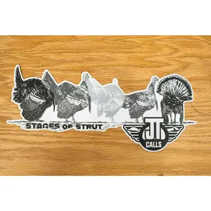 Stages of Strut Decal - Big