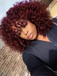 Big Curly Wig with Bangs for Women, Synthetic Colorful Looking Glueless Hair for Daily and Party Use, Soft Fluffy Curly Wigs, Natural Looking Wig.(14Inch)