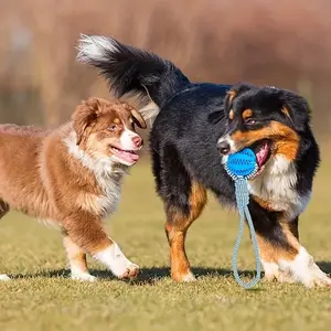 Durable Dog Chew Toy Ball with Handle, Snack Dispenser, Indoor Outdoor Pet Play, Pull Throw Tug-Of-War Rope Knot Toy