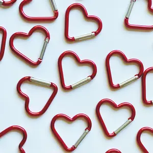 Red Heart Carabiner Key Chain