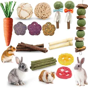 21 Pieces Rabbit Dental Chew Toys – Apple Wood Sticks, Timothy Hay Cakes for Teeth Care – Ideal for Rabbits, Hamsters, Chinchillas, and Gerbils