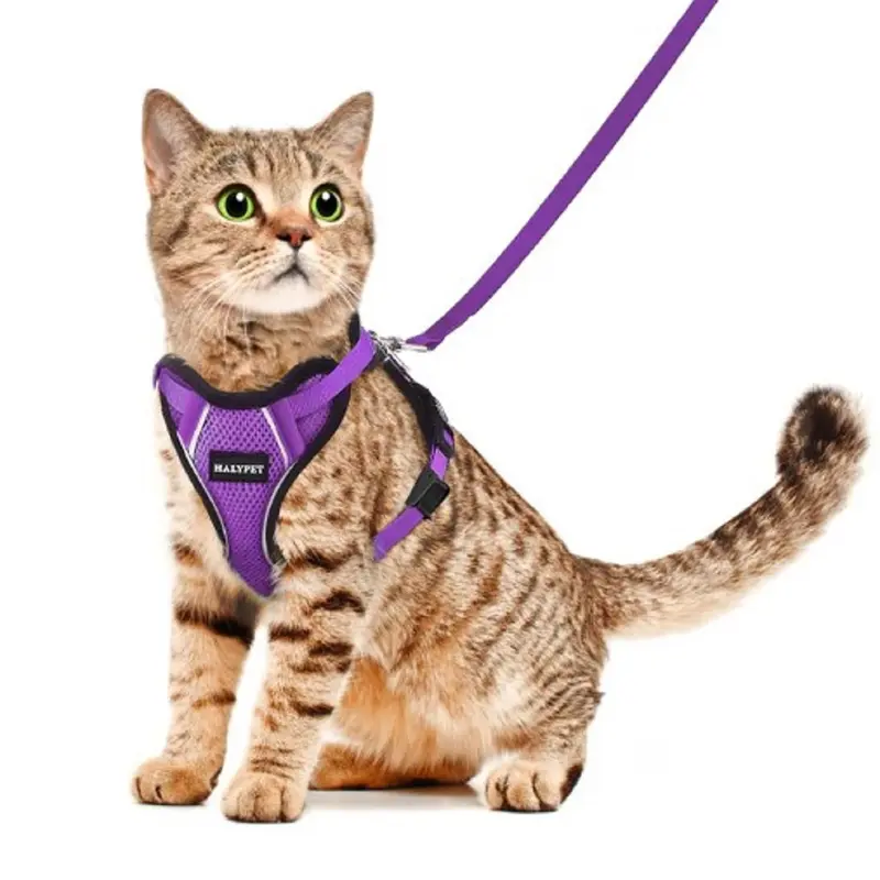 Halypet Escape-Proof Cat Harness with Leash Set - Durable, Reflective, Breathable Mesh, Security Lock, Dual Protection Outdoor Accessory (Multi-Size, Leash Included)