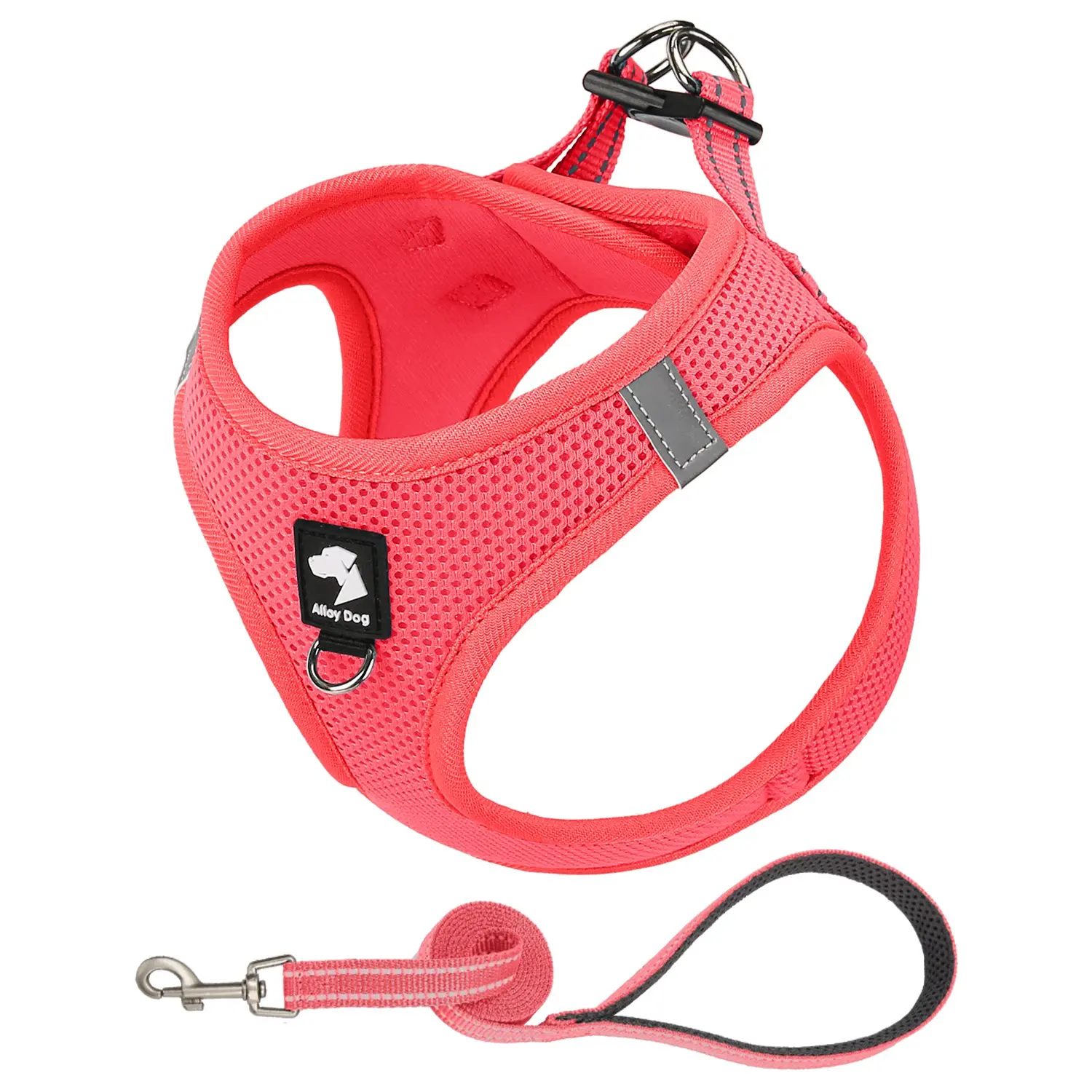 Bright powder (chest and back + traction rope)