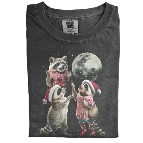 Men's Vintage Christmas 3-Raccoons Cartoon Graphic Crew Neck T-Shirt, Retro Moon Casual Oversized Washed Short-Sleeve Top, All-Seasons Cold-Wash Cute Christmas Gift-Ready Tee for Raccoon Lovers