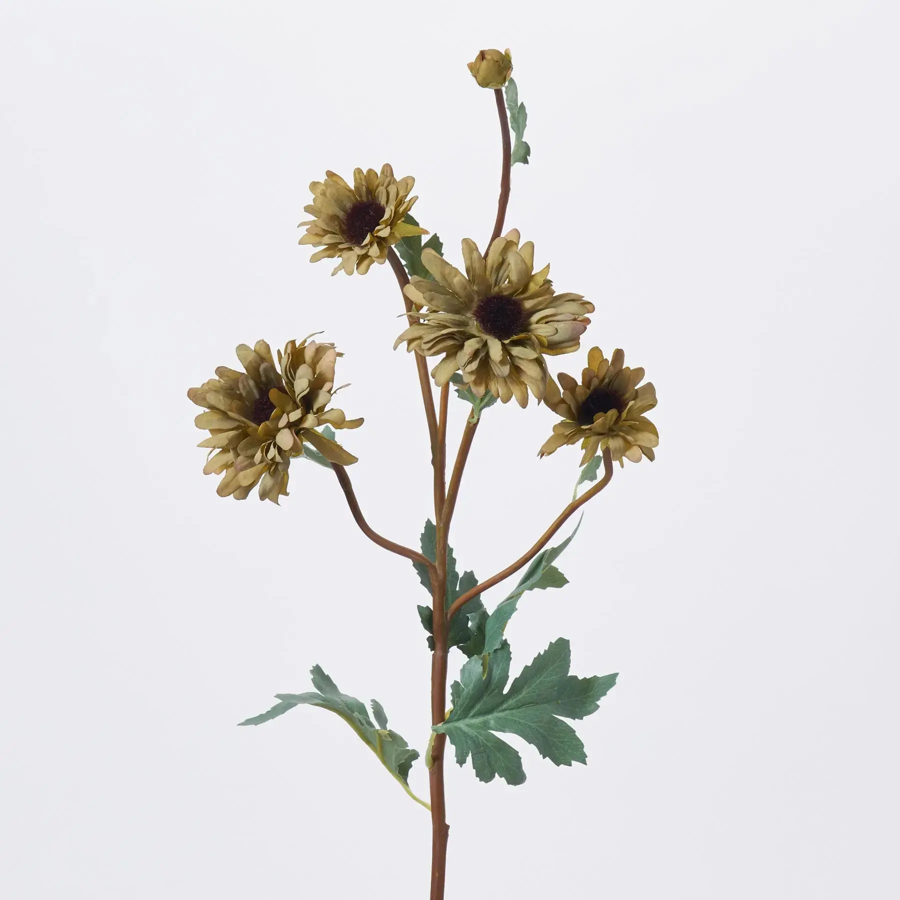 Olive Green Dried-Look Gerbera Daisy Blooms & Buds Single-Stem Faux Flower Spray - 28in Decor Artificial Flowers Faux Plants