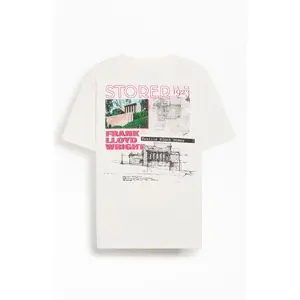 PacSun Men's Frank Lloyd Wright T-Shirt - Multicolor