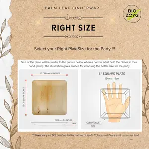 6 Inch Disposable Plates for Party (50 Pack) | Like Bamboo plates | Palm leaf Plates for Appetizer & Dessert | Compostable Plates | Picnic Party Plates better than Paper Plates