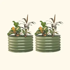 Vego Garden Berry Garden 17" Tall 30" Wide Twin Pack Metal Beds for Berries Shrubs Small Fruit Trees Modern Home Outdoor Decorative Plant Pots