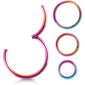 4 count 16G 18G 20G Surgical-Steel-Piercing-Ring-Nose-Rings-Hinged-Hoop-Earrings,6mm 8mm 10mm 12mm Seamless Stainless Steel Clicker Eyebrow Septum Piercing Hoop,Sliver Black  Rose  Rainbow   Set
