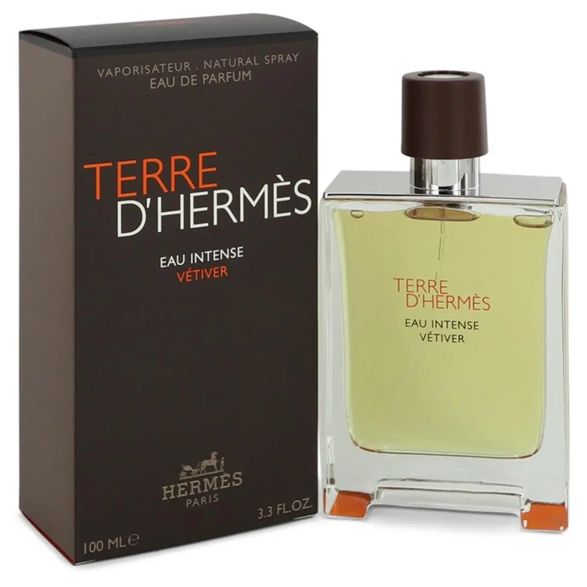 Hermes 542988 Terre Dhermes Eau Intense Vetiver Eau De Parfum Spray for Men - 3.3 oz