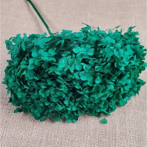 Preserved Hydrangea In dark green, Preserved Hydrangea,  Dried Hydrangea, Preserved Flowers, Dried Flowers, Real Flowers, Wedding Flowers