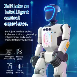 Bionic Joint Smart Robot, Realistic Robot, Intelligent Programming Language Recording Gesture Control, Multifunction Walks Slides Sings Dances Emotion Toy Ai Gift