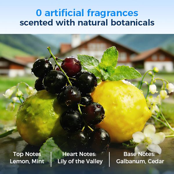 DermaClear Lab All-in-One Gentle Cleansing Balm | Makeup Remover for Face, Eyes & Lips | Sensitive Skin Friendly with PENTA-RICE Centella | Hydrating & Fragrant | Magnetic Spoon Included