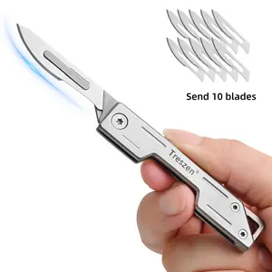 Stainless steel fruit knife, kitchen cutlery, 20 blades