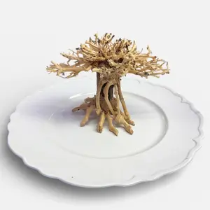 Tofu's Tanks Yocemite Wood Centerpiece for Terrariums, Aquariums, and Vivariums