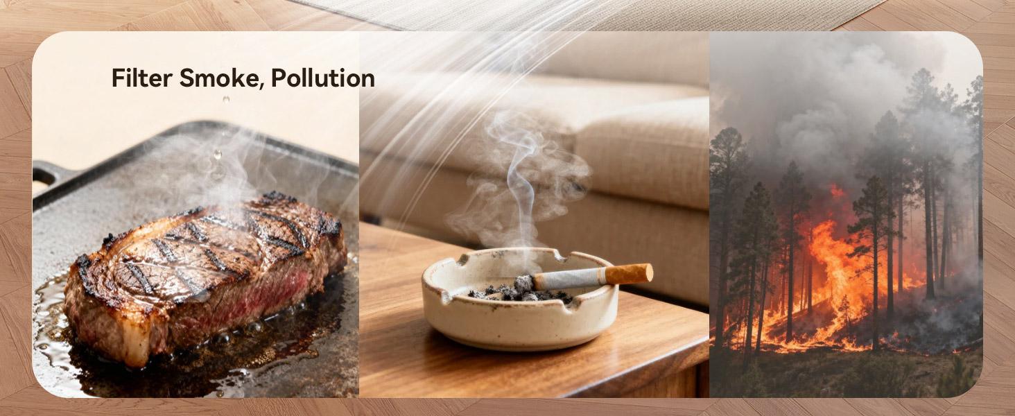 Meowant Pet Air Purifier with HEPA Double-Sided Filter Polygonal Inlet for Pet Hair Capture Activated Carbon H13 Filtration PM2.5 Monitor Quiet Smart Pet-Friendly